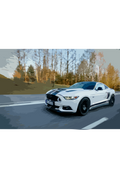 Ford Evolution Kaffekrus – Julegavesett (4-pakning)